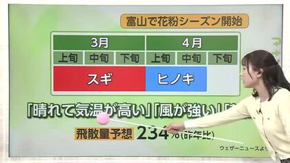 スギ花粉が平年より1日早く飛散開始　25日大学入試の朝は雨予報【気象予報士 解説】