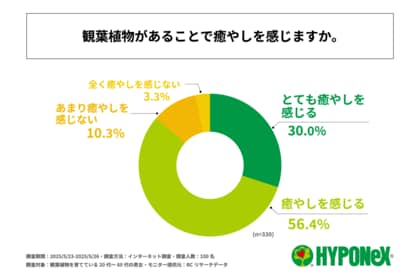 観葉植物を育てている20~60代の男女の約9割が、観葉植物があることで癒やしを感じている!株式会社ハイポネックス ジャパンが「観葉植物」に関する調査を実施!