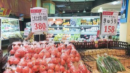 「夏野菜」値上がりの見込み　“高温障害”で傷むのも早い…　食卓への影響は？宮崎の地元スーパーに聞いた