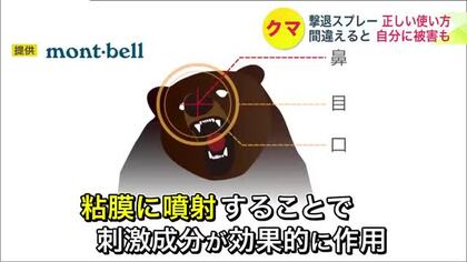 【クマ被害あわないために】クマスプレーが人気 高価なため“レンタルサービス”も…いざという時正しく使える？ 間違えると自分に被害が…ポイントは「風上から」「腕を伸ばす」「狙うのは顔」＜北海道＞