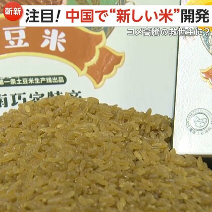 【斬新】中国で“ジャガイモ米”開発　米高騰の救世主となるか　1kg700円で割高も…SNS「1度は食べてみたい」