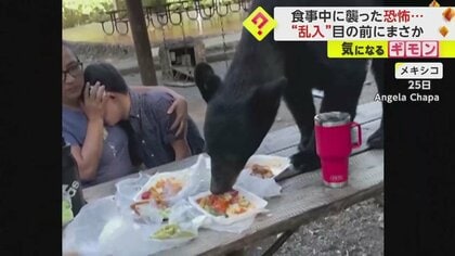 “恐怖の数十秒”　家族でピクニック中にクマが乱入　タコスとフライドポテト食べ立ち去る　メキシコ　