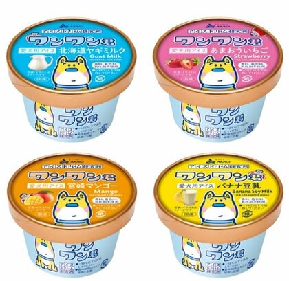 この夏は愛犬と一緒にどう？赤城乳業が新アイス「ワンワン君」を発売…担当者に商品名の由来を聞いた｜FNNプライムオンライン