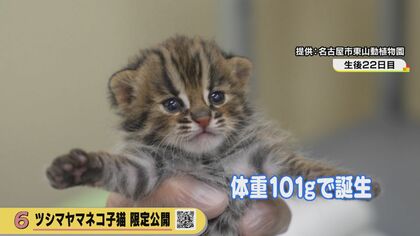 副園長「恐らく日本で一番多い」 絶滅危惧種を積極的に飼育する名古屋