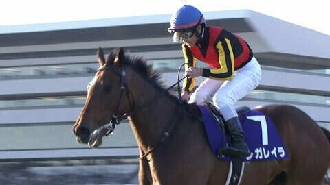 【エリザベス女王杯・GⅠ】「ベリーベリーホース」レガレイラがグランプリホースの貫禄見せつけ最強女王に！戸崎圭太騎手はついに鬼門を突破！