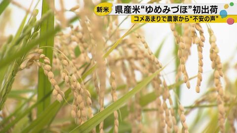 新米シーズンに農家悲鳴…コメ余りで価格下落「赤字経営に」新米の季節に農家から悲鳴　国の価格支援を求める声も