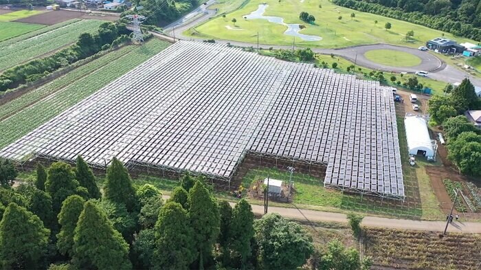 太陽光は再生エネの主力だが…