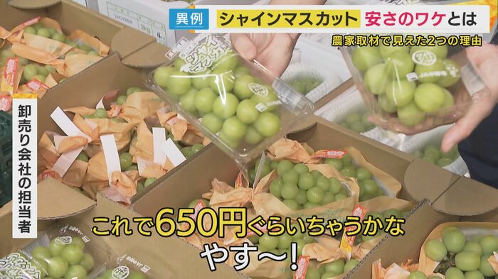 市場では仕入れ価格が1房600円~800円程度のシャインマスカットが並ぶ