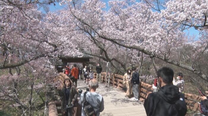 高遠城址公園(長野県伊那市高遠)