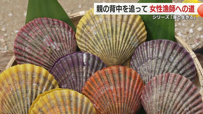 研磨し、水で洗った色鮮やかなヒオウギ貝