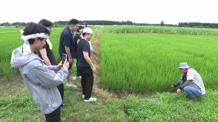 田んぼを見学し、農家の佐藤幸雄さんからコメ作りや流通について学ぶ学生たち