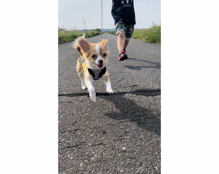 提供:ふくのすけさん