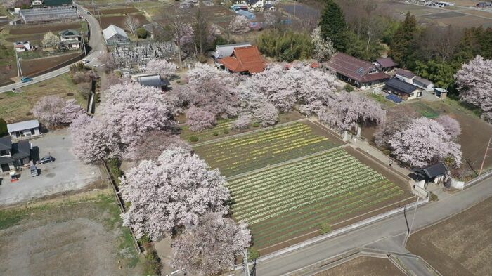 山梨・北杜市 実相寺の上空から