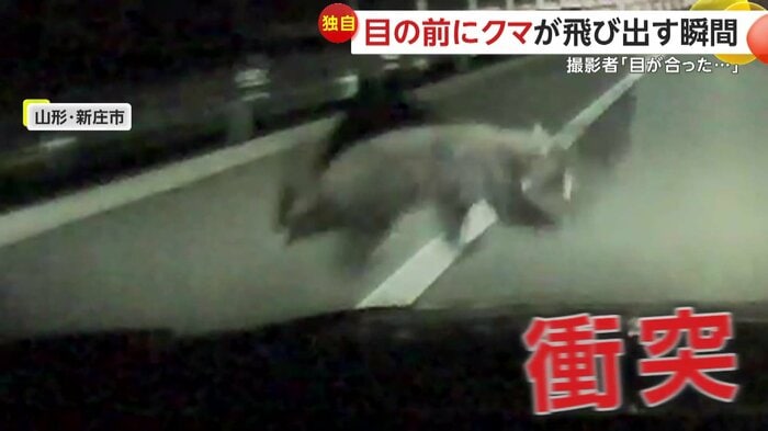 撮影者の車がクマと衝突する瞬間(FNN投稿サイト「ビデオPost」)