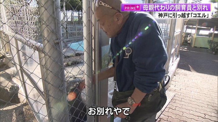 最後のお別れの時