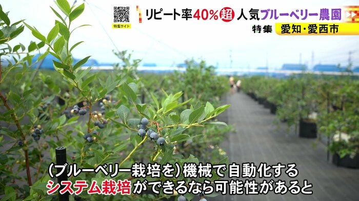 ニュースONE