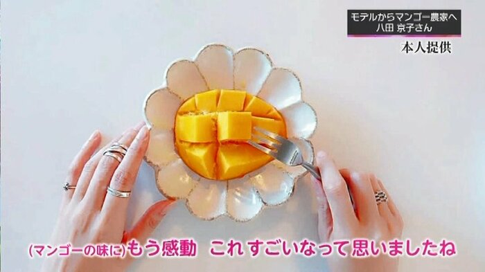 本人提供