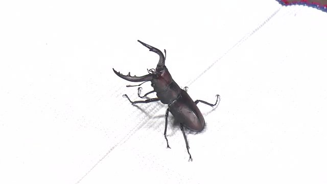 74年生きてきても初めての経験