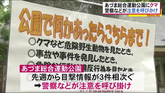 福島市の公園でクマが目撃…ケガ人なし【福島県】