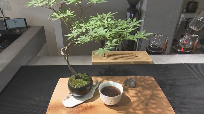 “盆栽”眺めながらコーヒーを…茶室から見る庭に見立てた空間楽しめる映えカフェ『彩盆の間』名古屋｜FNNプライムオンライン