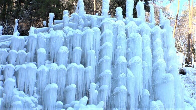 山間に現れる圧巻の「氷瀑」　氷点下で見られる自然の芸術…&quot;満開”の「樹氷」も【愛知発】｜FNNプライムオンライン