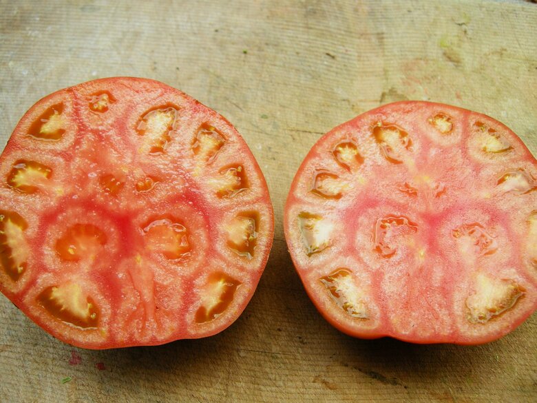 “気持ち悪い”断面は美味しい証拠！？「霜降り」と呼ぶ春限定のトマトを農家が紹介…見分け方やおすすめの食べ方を聞いた｜FNNプライムオンライン