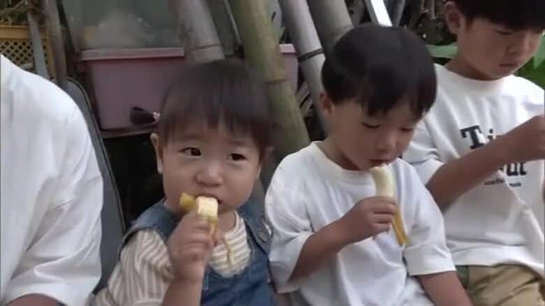 小豆島で露地栽培「オリーブバナナ」の試食会　子供たちは「香りともっちり食感」に満足【香川・土庄町】｜FNNプライムオンライン