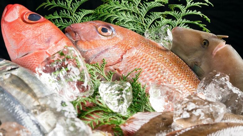 将来、魚が食べられないかも? 海の豊かさを守る「サステナブル・シーフード」を知ることが重要なワケ｜FNNプライムオンライン
