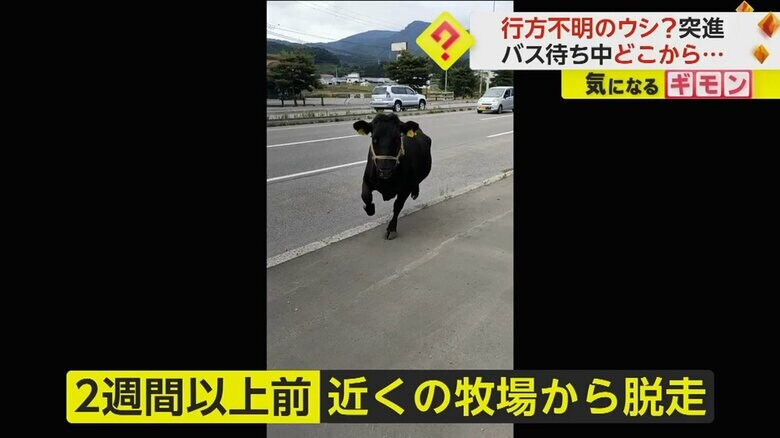 (FNN投稿サイト「ビデオPost」)