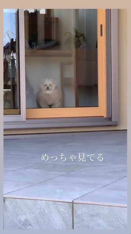 提供：＠tsuru_323さん