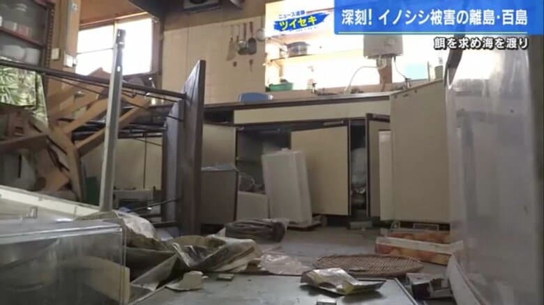 物が散乱し、足の踏み場もない台所