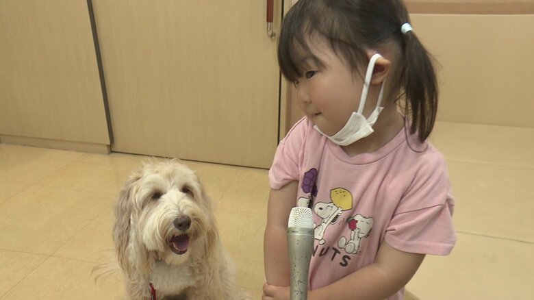 「セラピードッグ」の存在で安心して予防接種を受ける子供