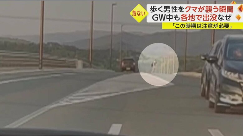 その後、男性は、車道を渡って、反対側に逃げた。