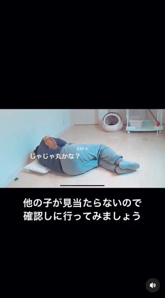 提供：oimo & yuzukiさん