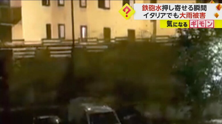 土砂によって木がなぎ倒される