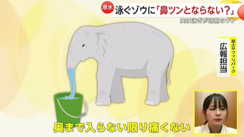 「5～10Lぐらいは鼻に入るのではないか」という飼育員
