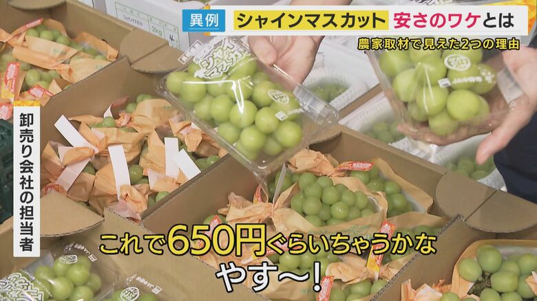 市場では仕入れ価格が1房600円～800円程度のシャインマスカットが並ぶ