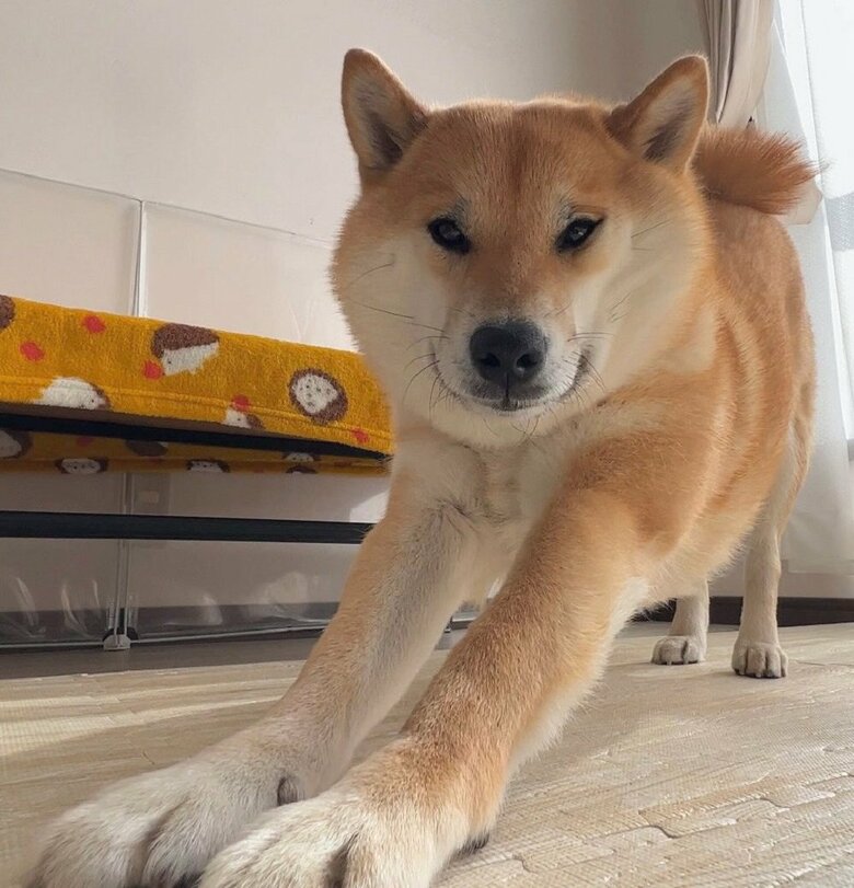 のびーとヨガ中