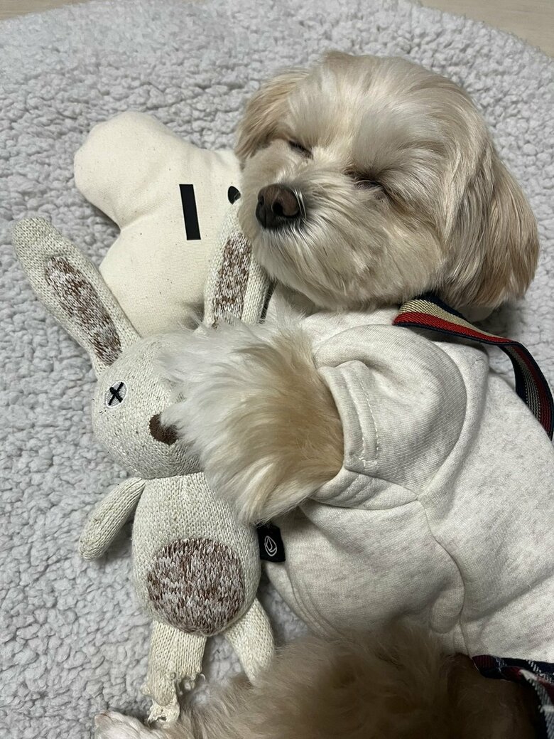 ギュッと抱きしめてぐっすり