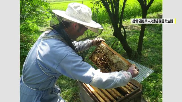 ミツバチなども含め「食べ物を生産する生き物」の健康管理も仕事