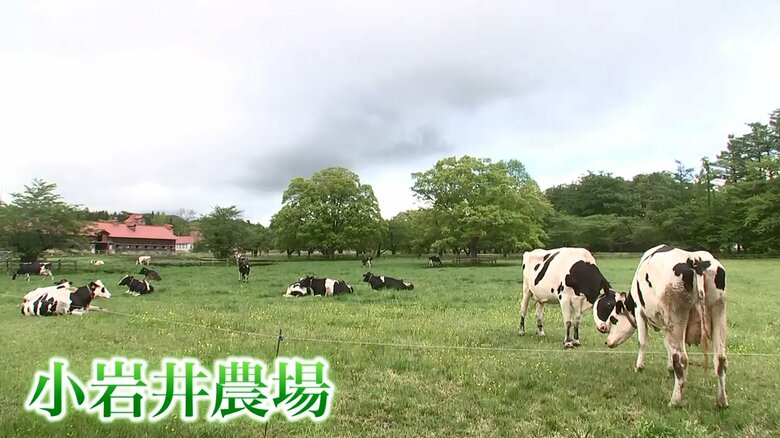 広さ3,000haの小岩井農場