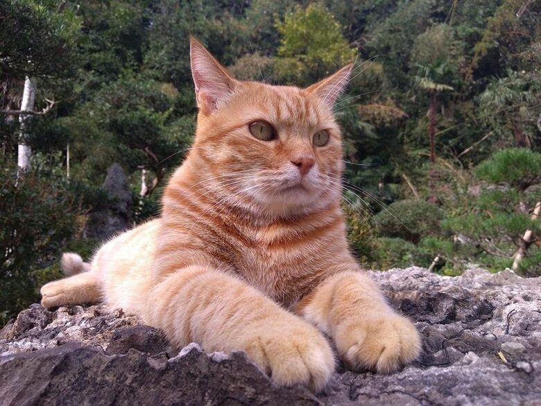 天からの父親の信号を受け止めていたのかも？