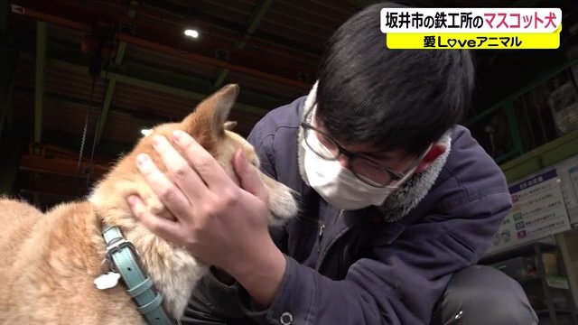 ポッチくんと仲良し