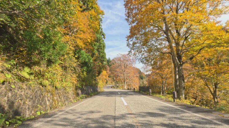 立山高原バスの沿道