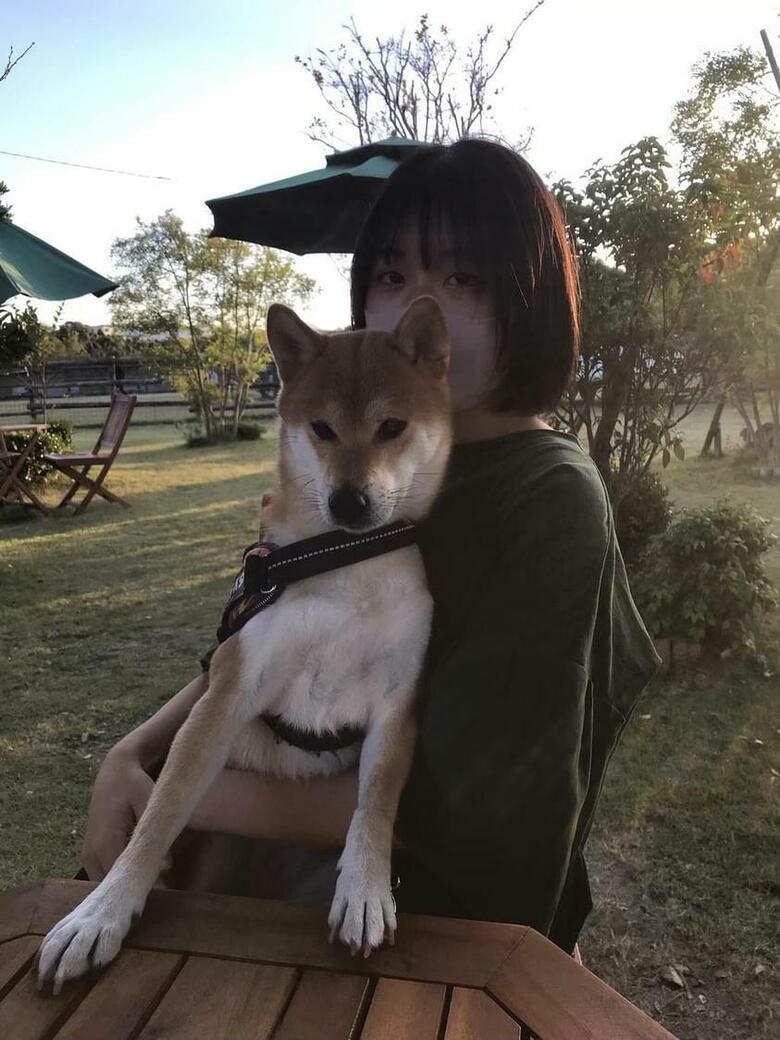 提供：柴犬けいちゃん