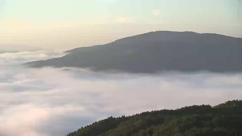 一面に広がる「雲海」（遠野市の高清水展望台、午前6時頃）