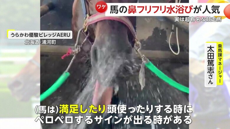「馬は満足したり頭使ったりするときに、ああいうペロペロするサインが出るときがある」と語る飼育員
