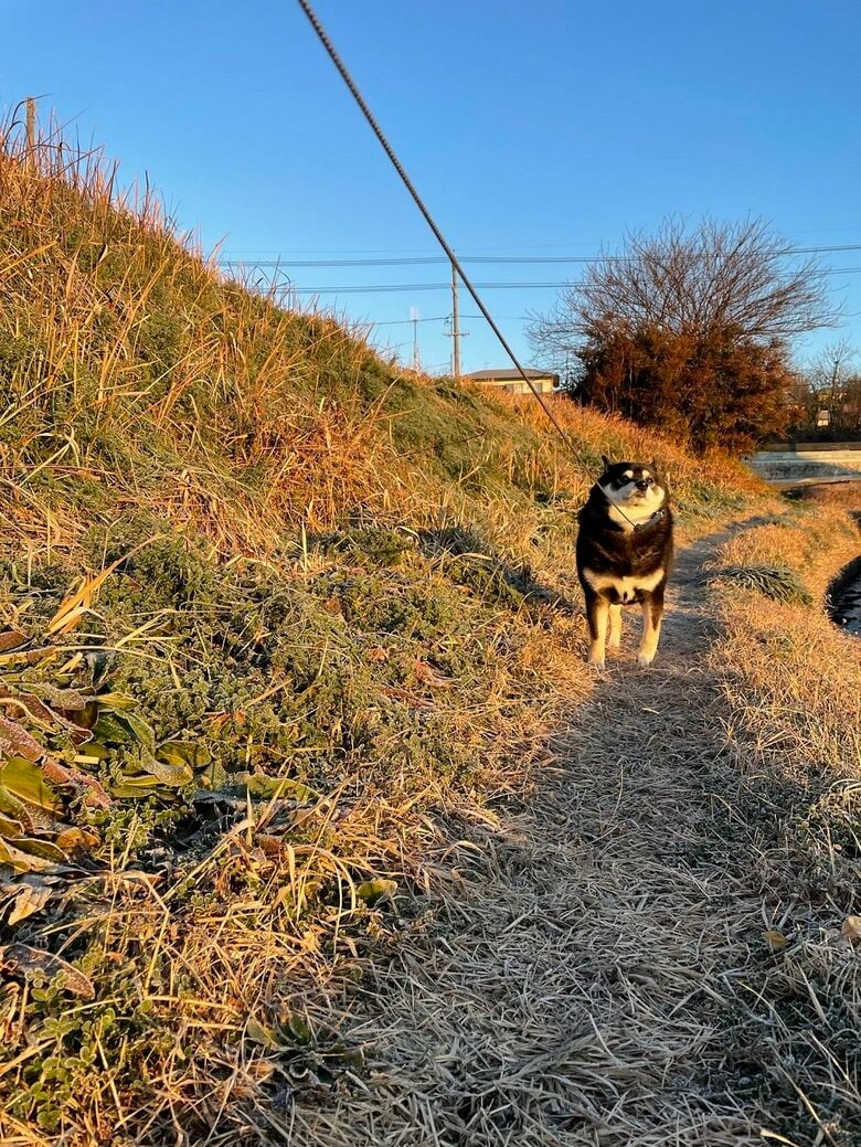 イヤイヤするたろうくん