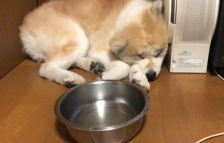 狭い場所に収まる