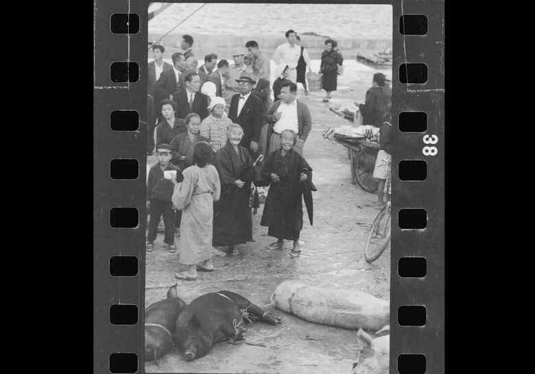 岡本さんが撮影した沖縄の写真